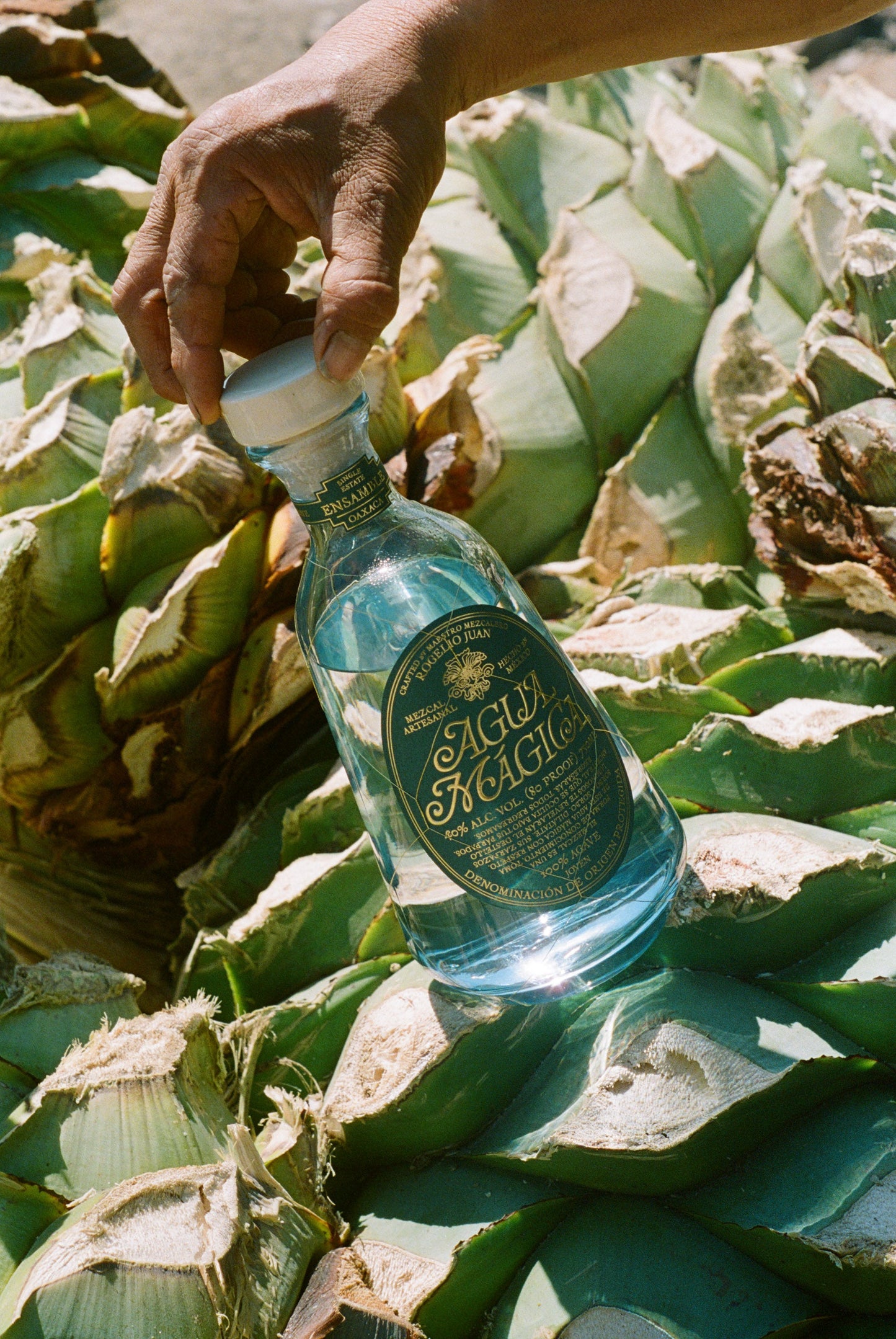 'Agua Mágica' Cabana