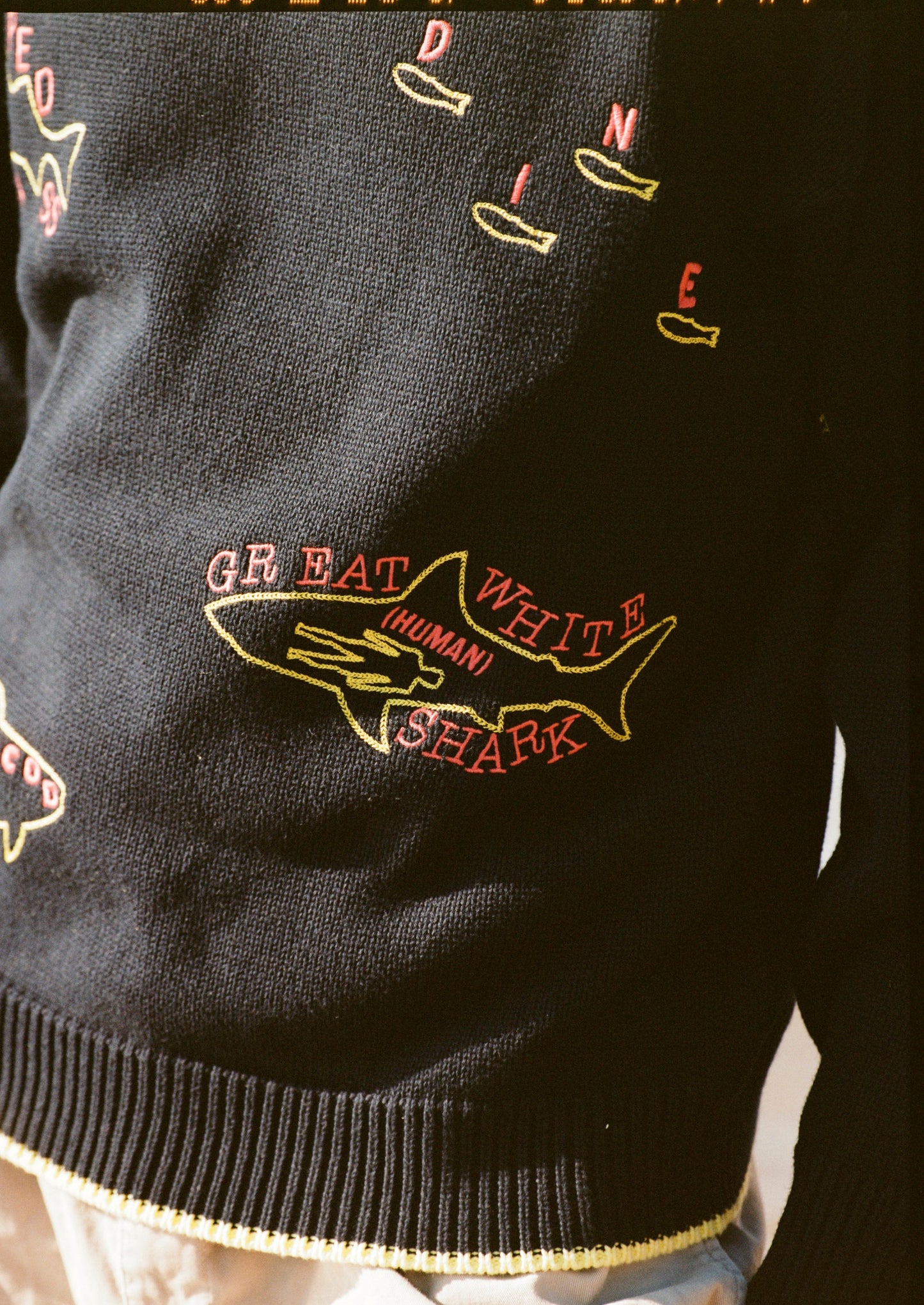 'Fishes of the North Atlantic' Sweater