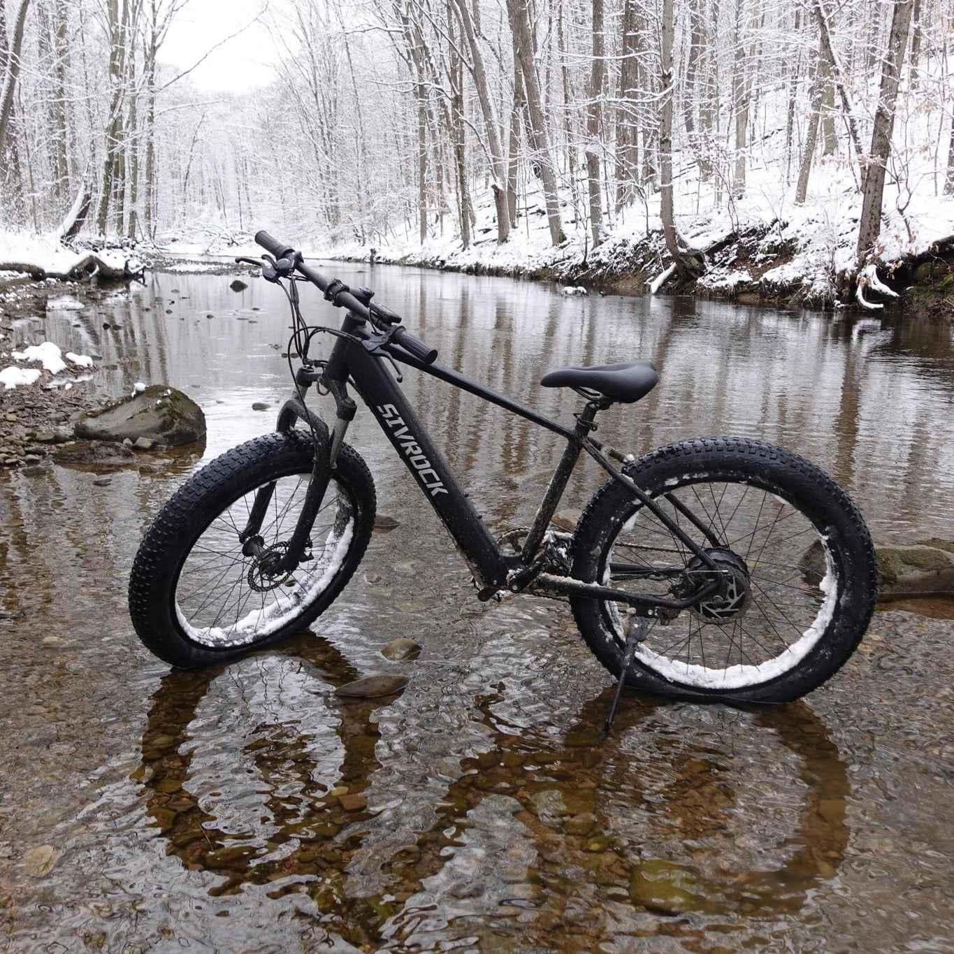 Fat Tire Electric Mountain Bike | 1000W, 48V 15Ah, 75-Mile Range, UL Certified