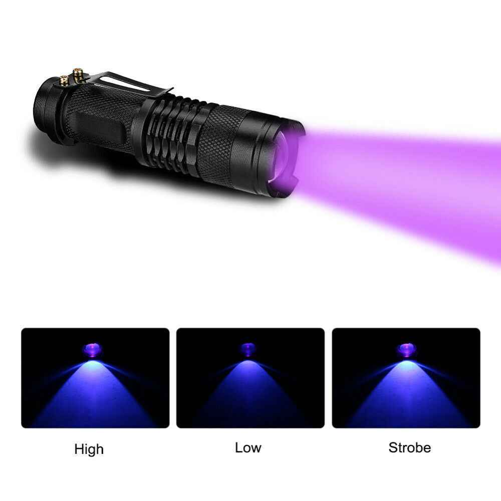 2-Pack UV Blacklight Flashlight – Ultraviolet LED Torch for Pet Stains & Scorpions