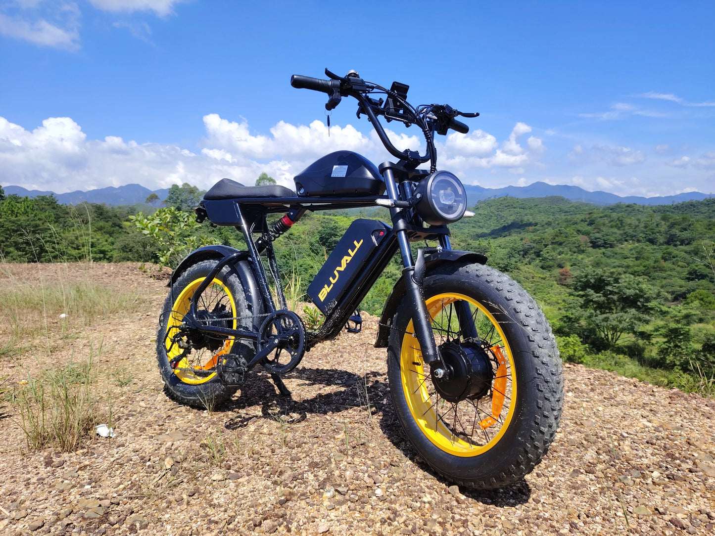 2000W Dual-Motor Electric Bike 52V 46AH Removable Battery Full Suspension Fat Tire Hydraulic Brake Adult Mountain Off-Road Ebike