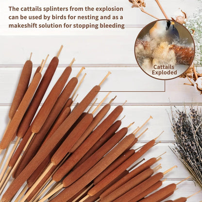 20pcs Realistic Dried Cattail Stems - Natural Brown, Long 17" Bundles for Wedding, Home, Office, Garden Decor - Rustic Floral