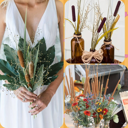 20pcs Realistic Dried Cattail Stems - Natural Brown, Long 17" Bundles for Wedding, Home, Office, Garden Decor - Rustic Floral