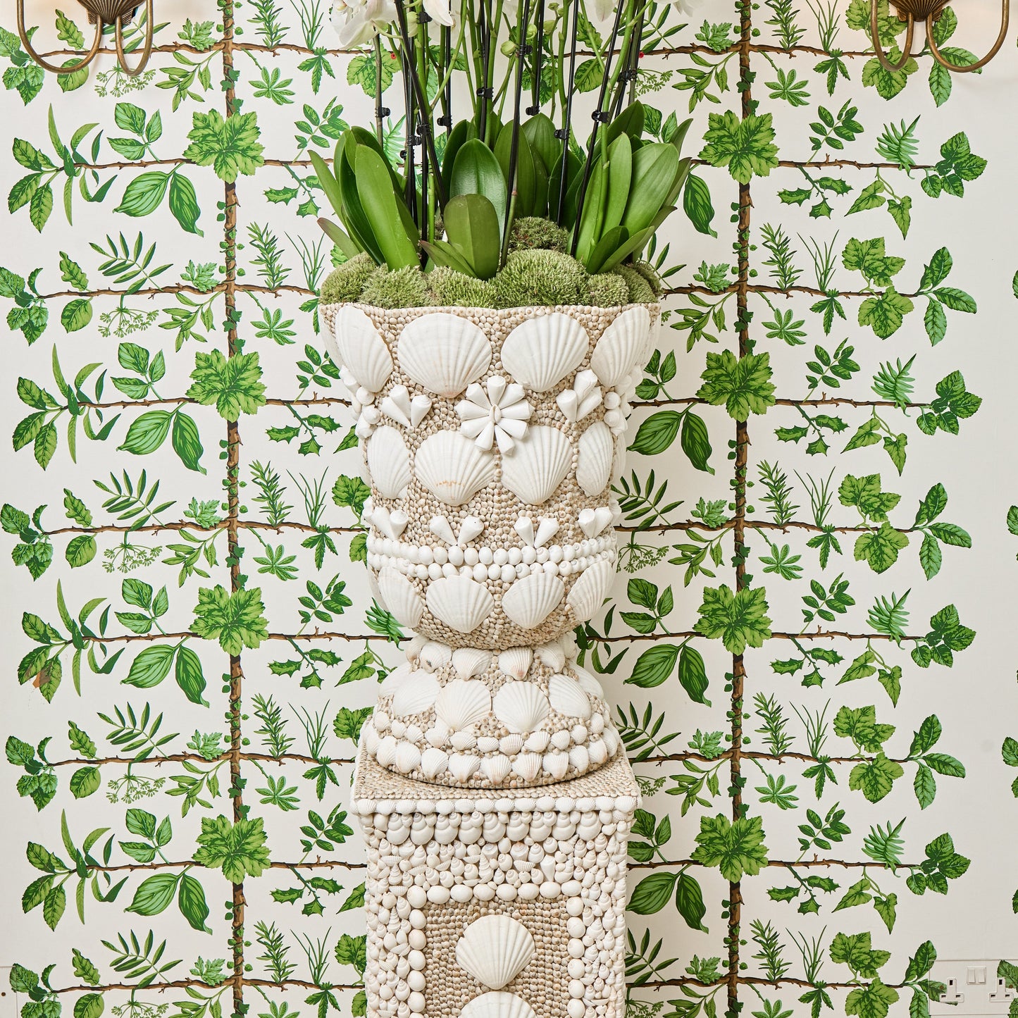 Large Mixed Shell Urn & Pedestal