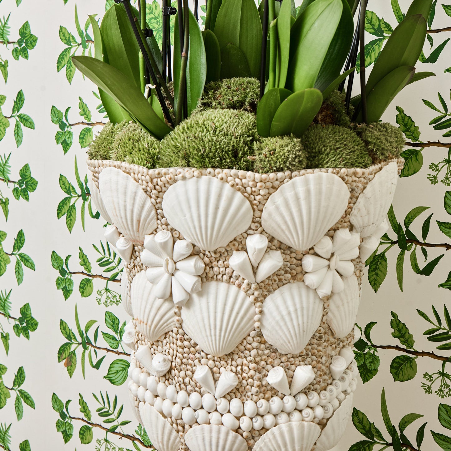 Large Mixed Shell Urn & Pedestal