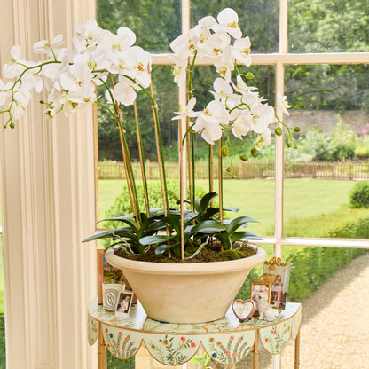 Faux Orchid in Large Clay Pot - 109cm