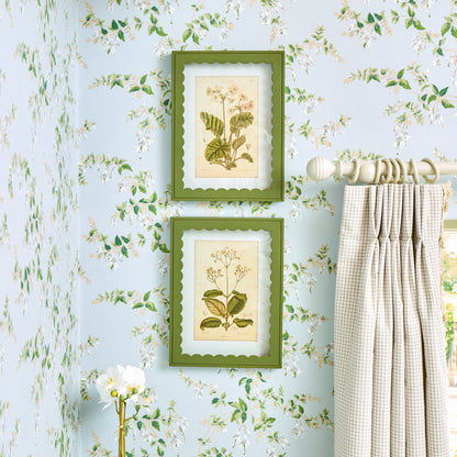 Green Scalloped Primula Framed Prints (Set of 2)