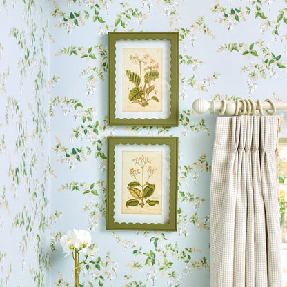 Green Scalloped Primula Framed Prints (Set of 2)