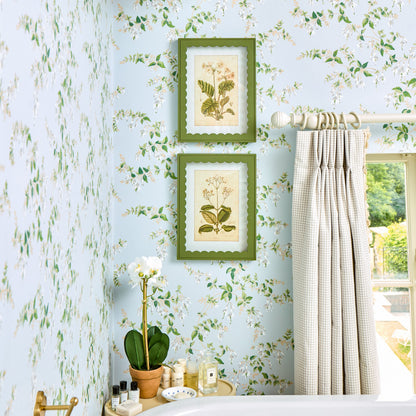 Green Scalloped Primula Framed Prints (Set of 2)