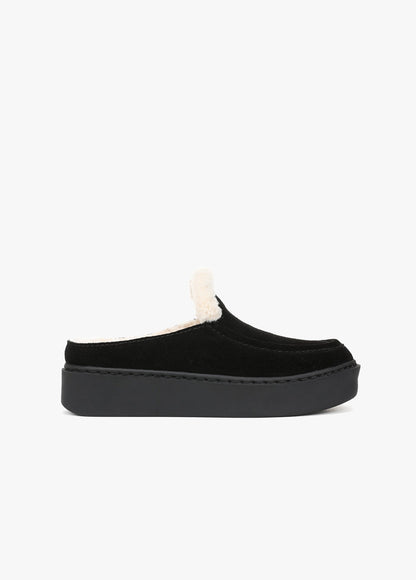 THE SUNNY PLATFORM MULE