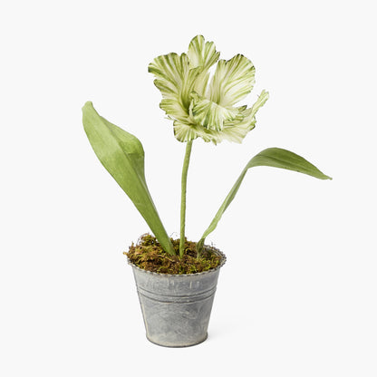 Mrs. Alice Handpainted Green Tulip