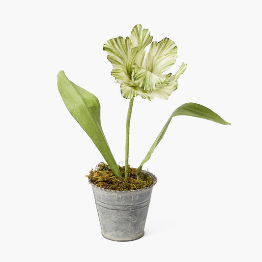 Mrs. Alice Handpainted Green Tulip