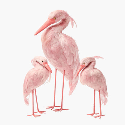 Saskia Stork Family