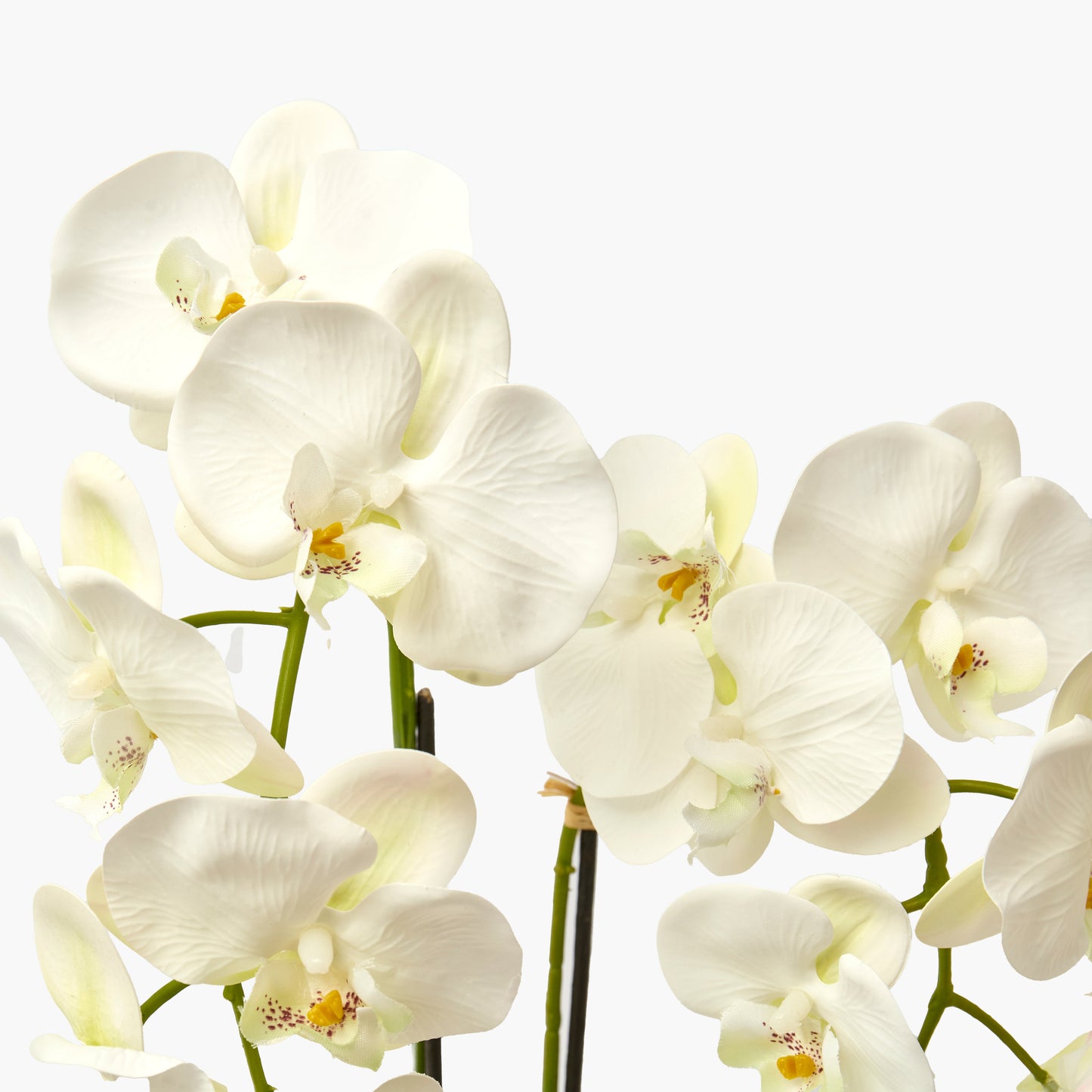 Faux Orchid in Large Clay Pot - 109cm