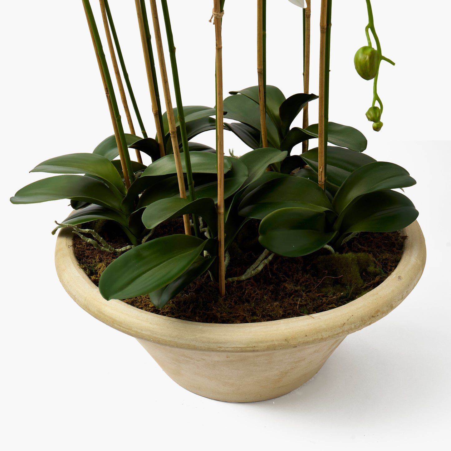 Faux Orchid in Large Clay Pot - 109cm