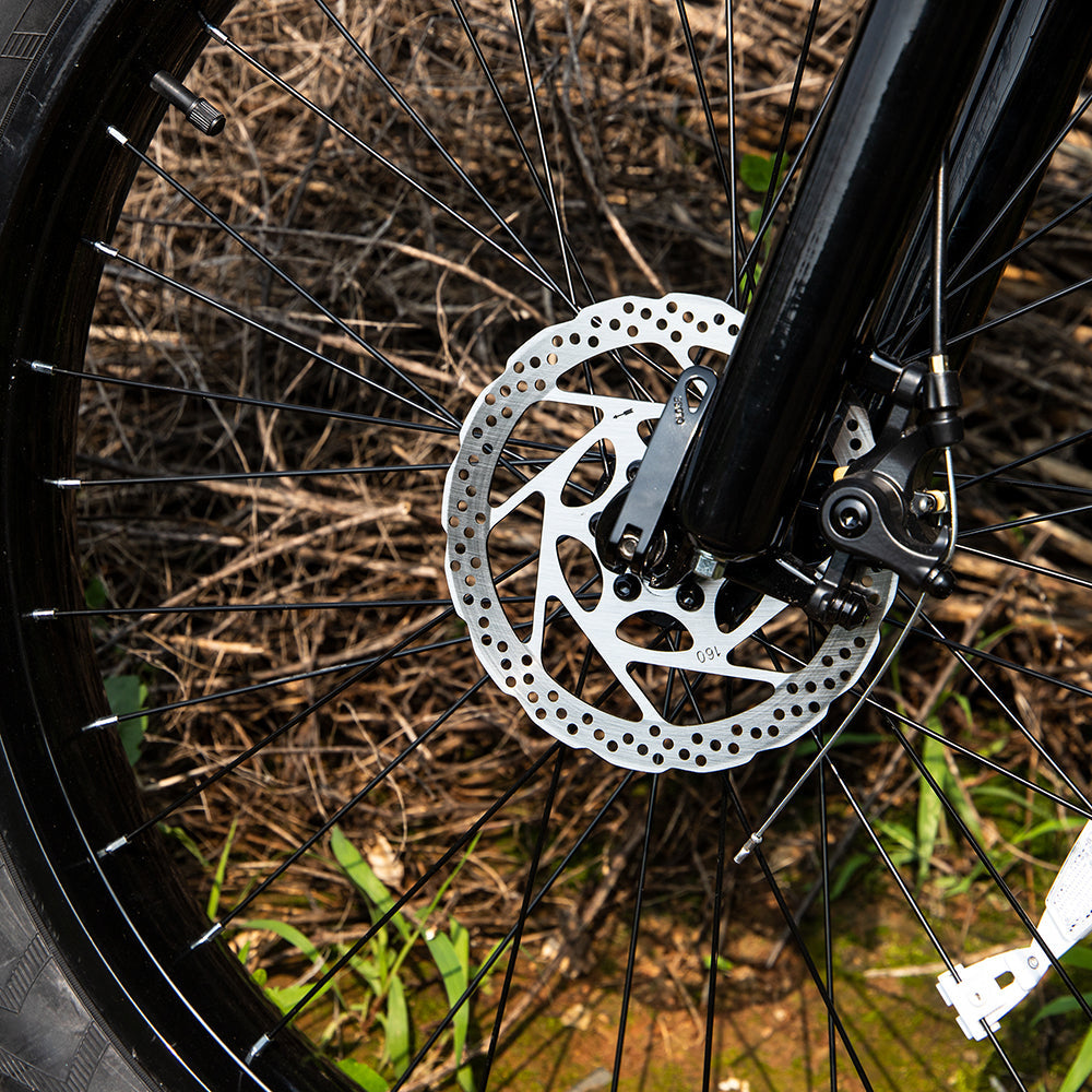 Fat Tire Electric Mountain Bike | 1000W, 48V 15Ah, 75-Mile Range, UL Certified