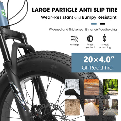 20" Fat Tire Mountain Bike | Full Shimano 7-Speed, Dual Disc Brakes & Front Suspension