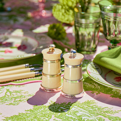 Ivorine Salt & Pepper Set
