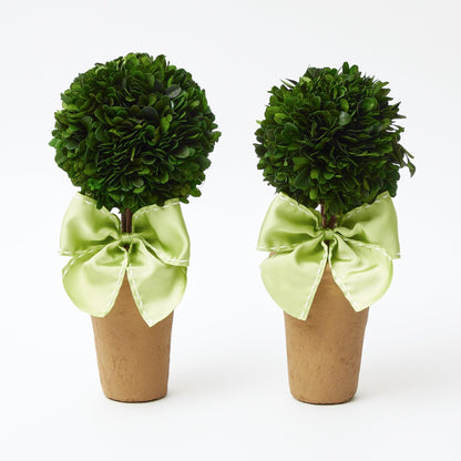 Potted Boxwood Ball with Green Bow (Pair)