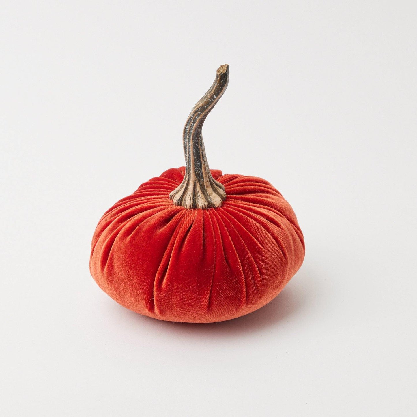 Orange Velvet Pumpkin Family