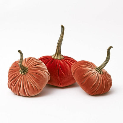 Orange Velvet Pumpkin Family