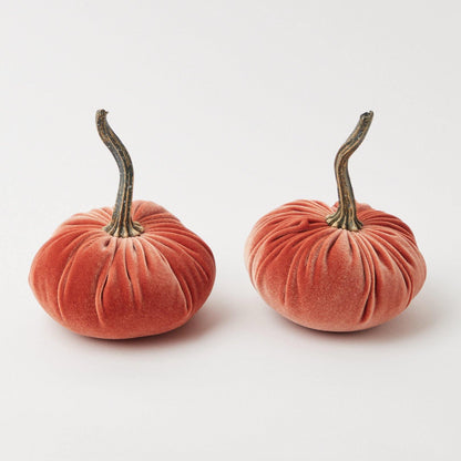 Orange Velvet Pumpkin Family