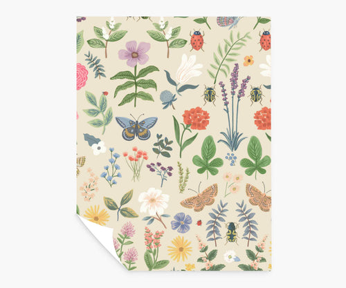 Curio Peel & Stick Wallpaper Sample - Cream