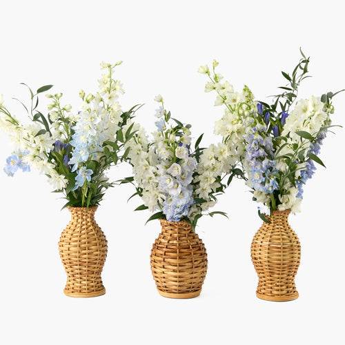 Rattan Vase (Set of 3)